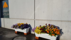 20190316_164715
